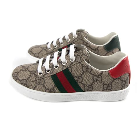 gucci ace suprenem